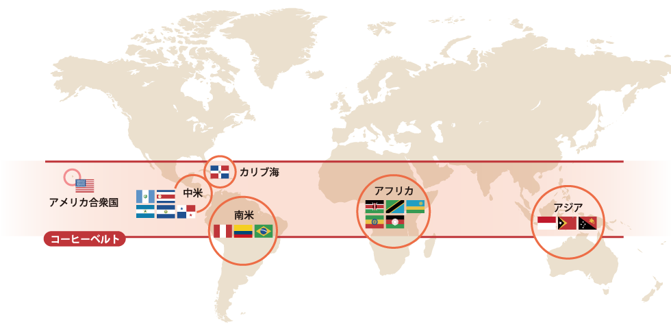 世界各地のコーヒー豆 札幌 こだわりの珈琲 コーヒー豆 Tokumitsu Coffee