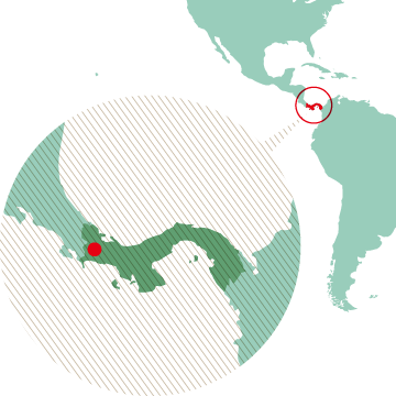 パナマ 札幌 こだわりの珈琲 コーヒー豆 Tokumitsu Coffee