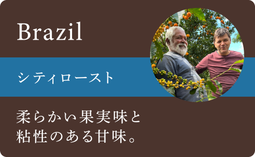 ブラジルシティロースト